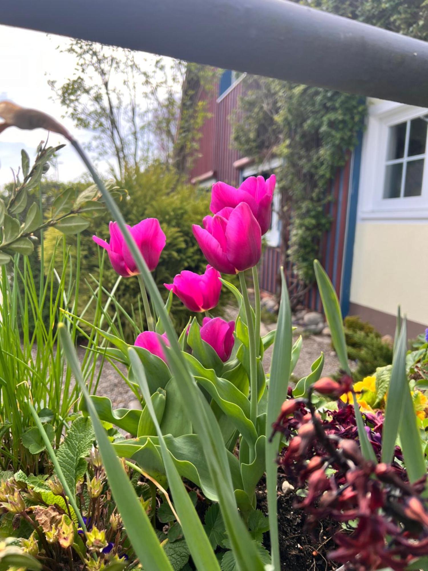 Am Flussgarten Eriskirch Bagian luar foto