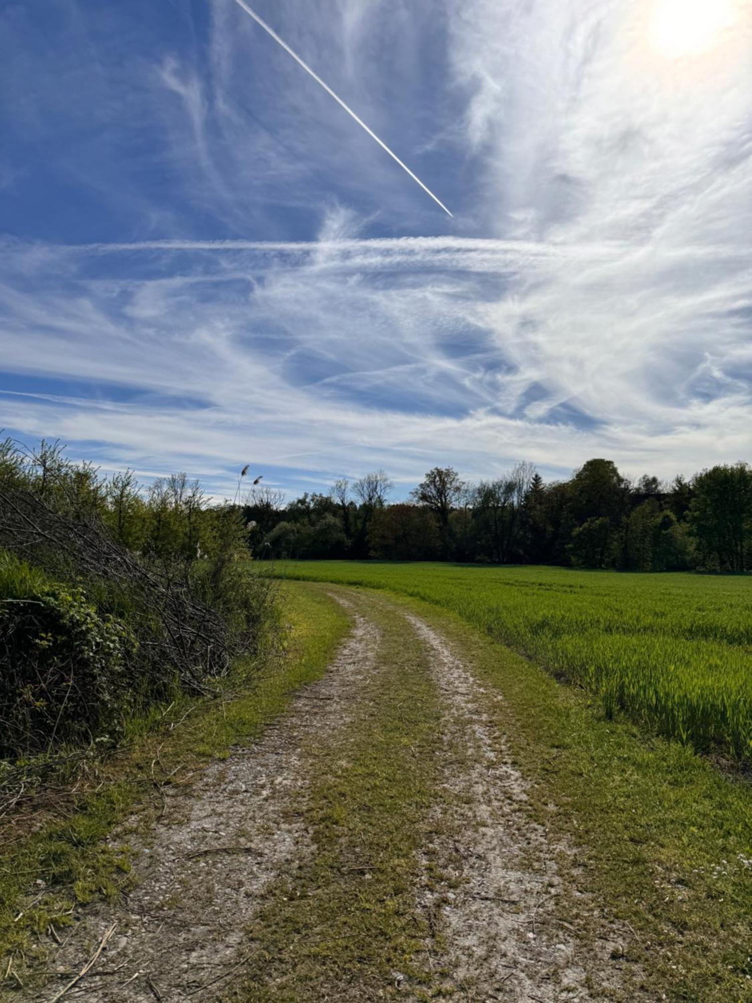 Am Flussgarten Eriskirch Bagian luar foto