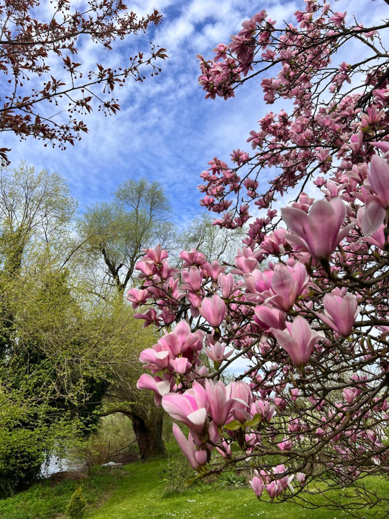 Am Flussgarten Eriskirch Bagian luar foto