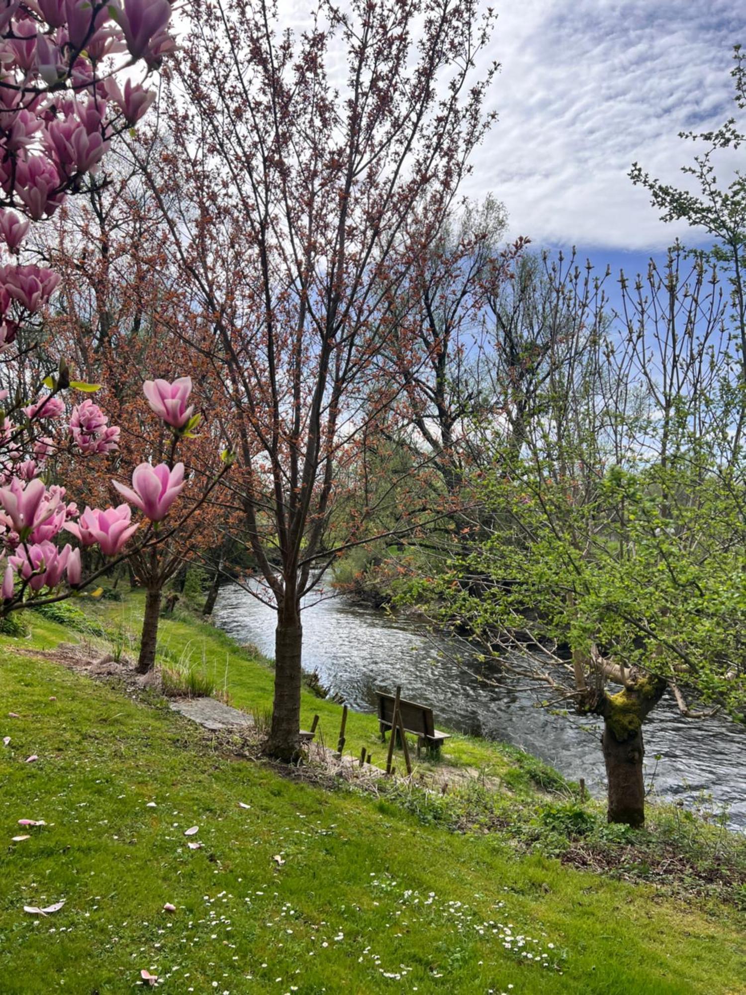 Am Flussgarten Eriskirch Bagian luar foto