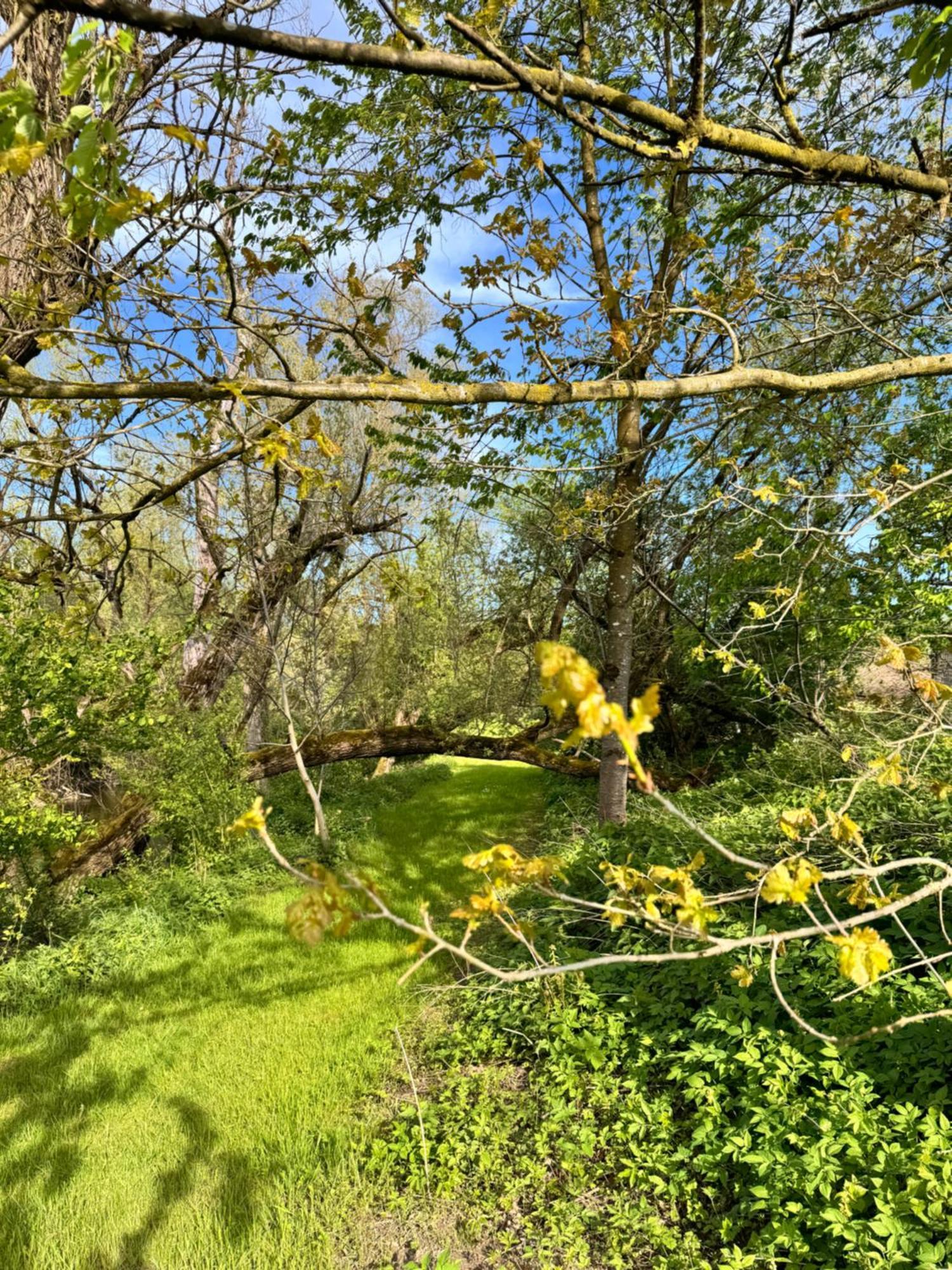 Am Flussgarten Eriskirch Bagian luar foto