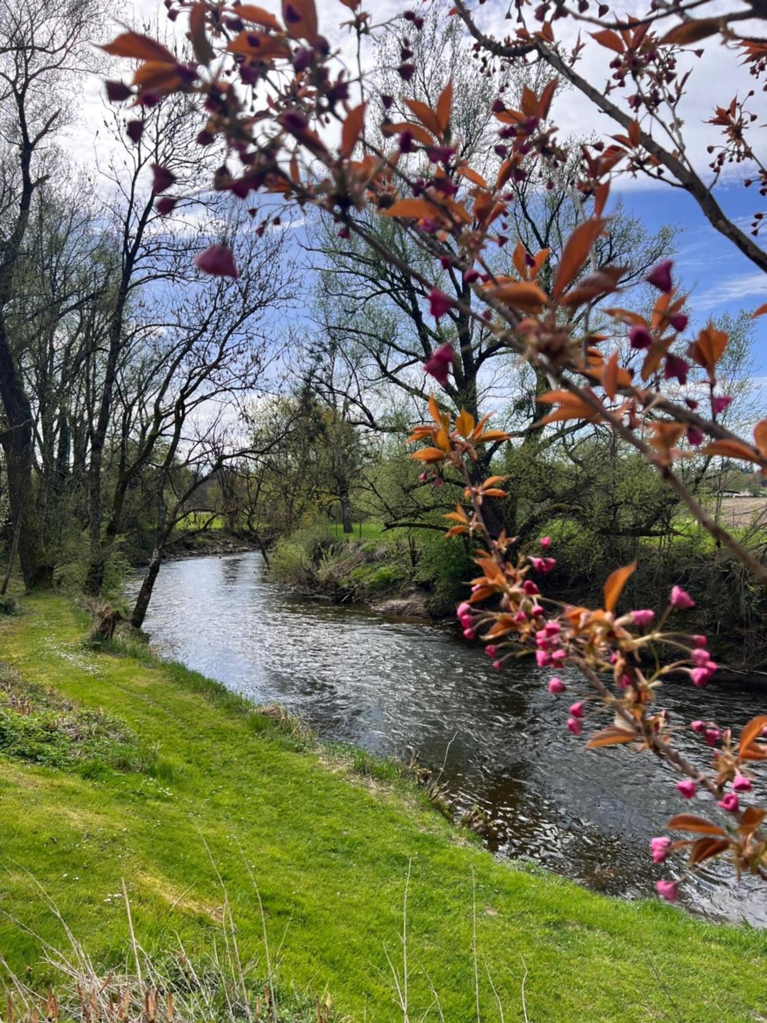 Am Flussgarten Eriskirch Bagian luar foto