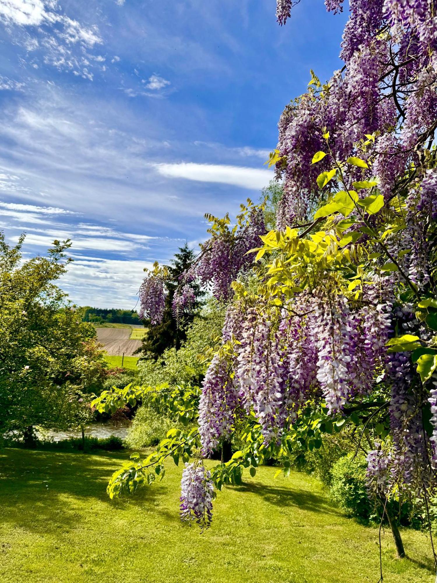 Am Flussgarten Eriskirch Bagian luar foto