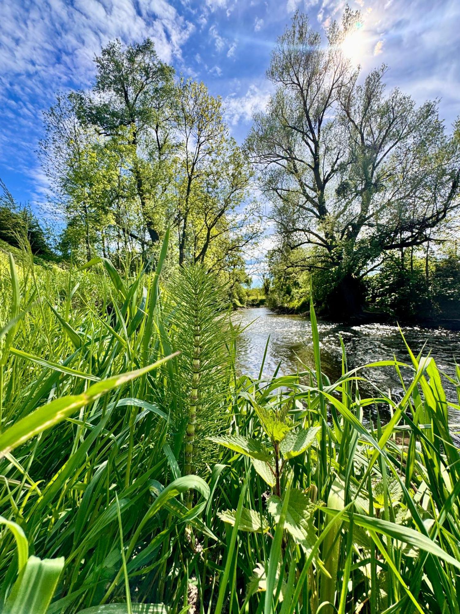Am Flussgarten Eriskirch Bagian luar foto