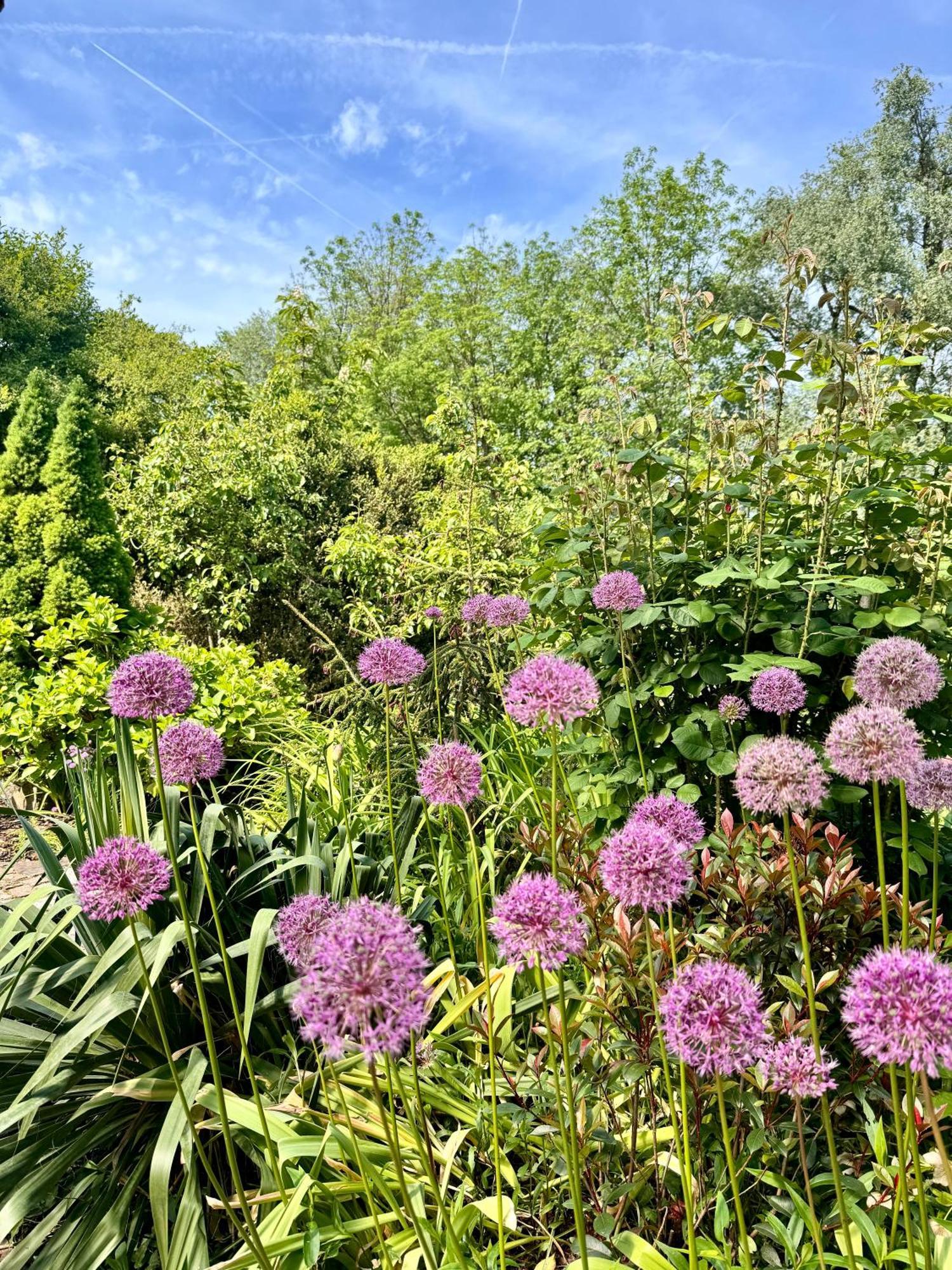 Am Flussgarten Eriskirch Bagian luar foto